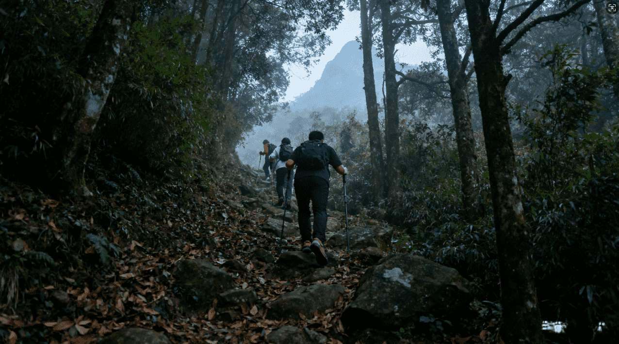 老王加速器视频教程常见问题及高级使用技巧